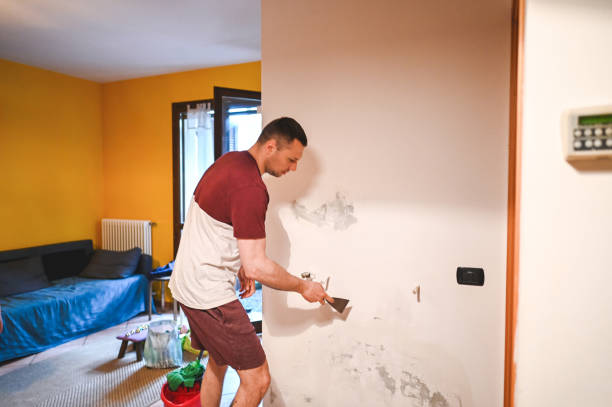 Best Mold Testing and Inspection Services in Fort Myers, FL